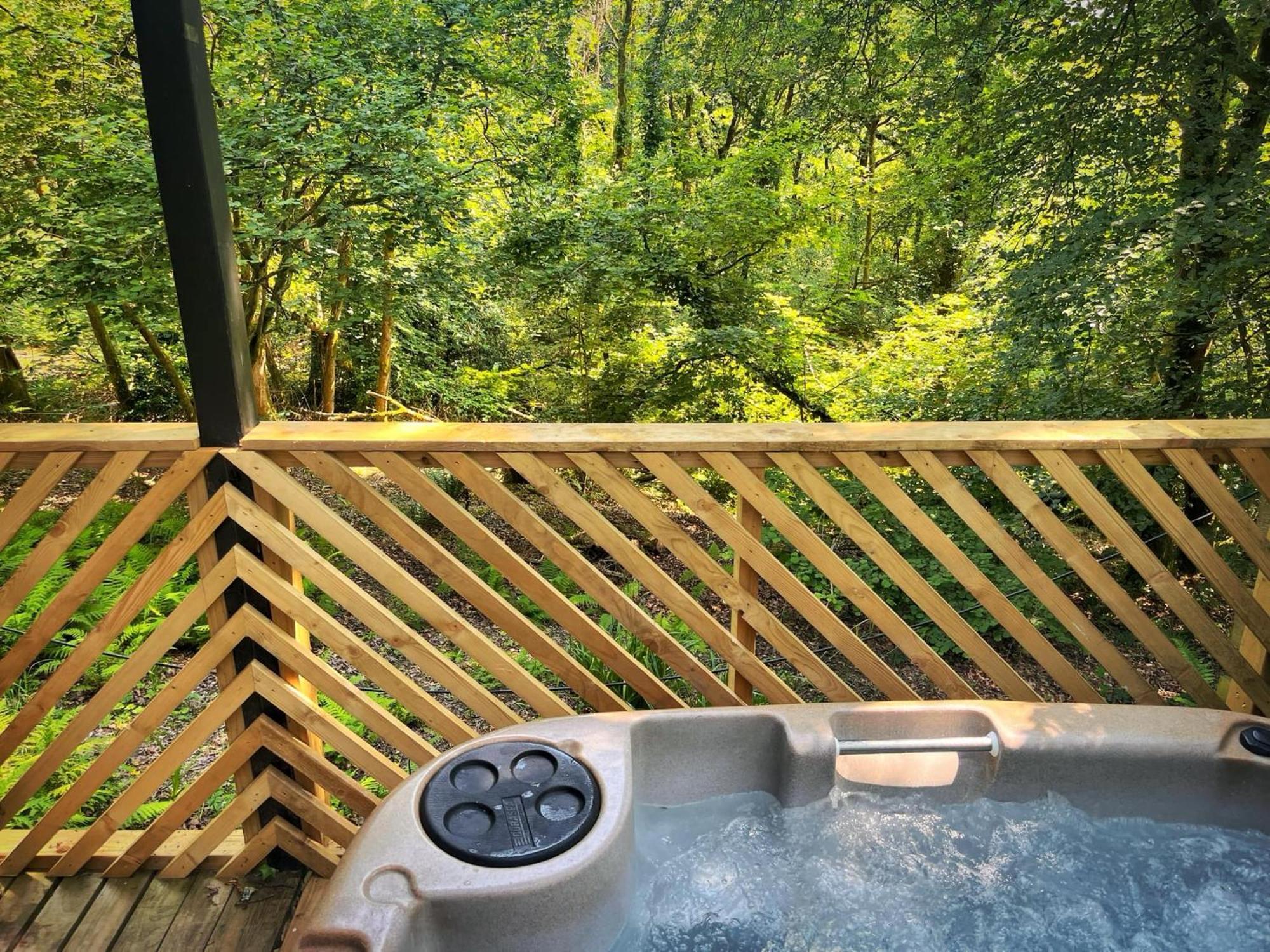 Goldcrest 3-Hot Tub-Woodland Lodges-Carmarthenshire-Tenby Zewnętrze zdjęcie