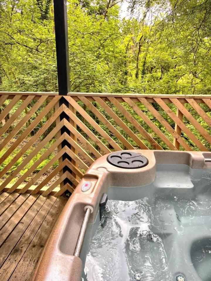 Goldcrest 3-Hot Tub-Woodland Lodges-Carmarthenshire-Tenby Zewnętrze zdjęcie